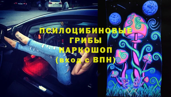 ешки Вязники