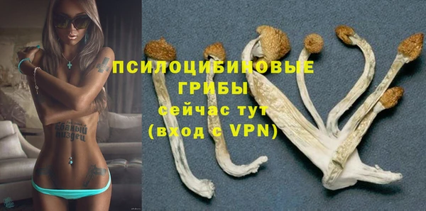 ешки Вязники