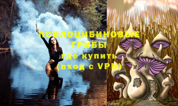 кокс Вяземский