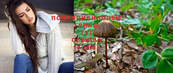 кокс Вяземский