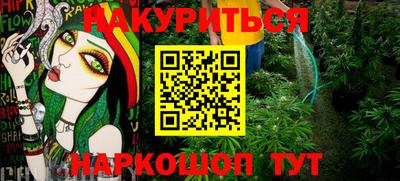 сатива Апшеронск